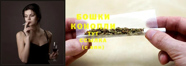 дживик Верхний Тагил