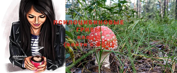 круглые Бронницы